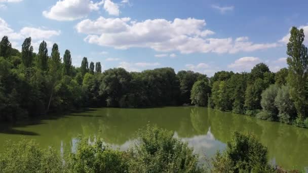 Yazın Güney Almanya Heilbronn Yakınlarında Ormanlar Küçük Göl Bulunan Doğal — Stok video