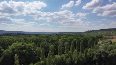 Yazın Güney Almanya 'da Heilbronn yakınlarındaki ormanlar ve tarım arazileri ile doğal manzara, Baden-Wuerttemberg