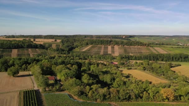 Paisagem Natural Com Florestas Terras Agrícolas Perto Heilbronn Sul Alemanha — Vídeo de Stock