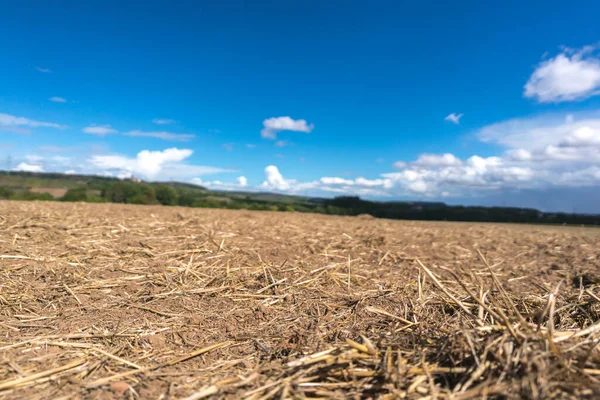 Bearbeitetes Und Ausgedörrtes Ackerland Aufgrund Einer Längeren Trockenzeit Sommer — Stockfoto