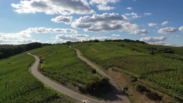Aerial View Street Trough Vineyard Areas Southern Germany Harvest Time — Stock Video
