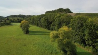 Baden-Wuerttemberg yaz sonu hasat zamanı Güney Almanya 'daki üzüm bağlarının hava manzarası