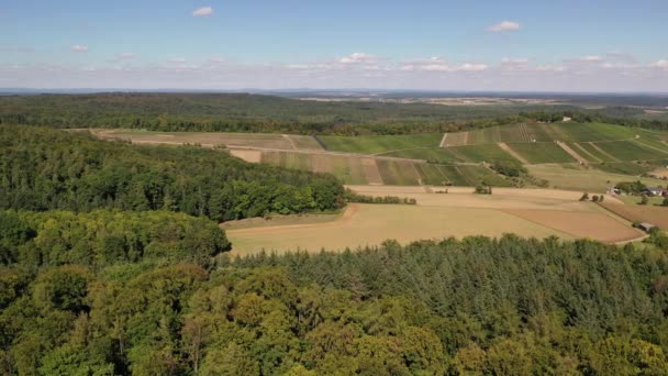 Baden Wrttemberg Almanya Nın Güneyinde Yaz Aylarında Heilbronn Franken Bölgesine — Stok video