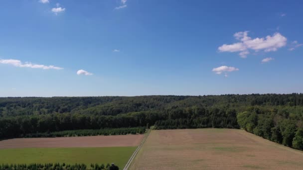 德国南部黑尔布隆 弗兰肯地区夏季森林和农田的自然景观 符腾堡 — 图库视频影像