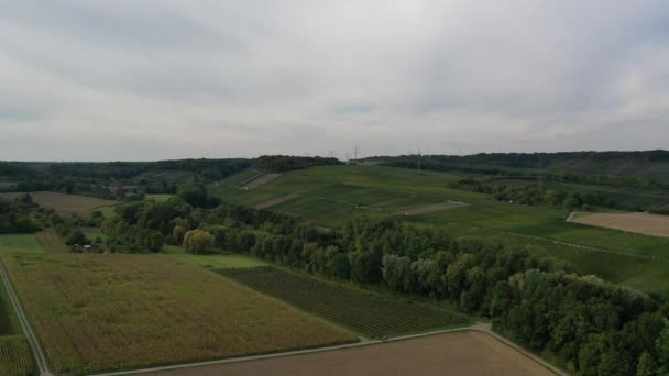 Vue Aérienne Des Vignes Des Vignobles Sud Allemagne Récolte Fin — Video