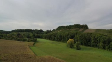 Baden-Wuerttemberg yaz sonu hasat zamanı Güney Almanya 'daki üzüm bağlarının hava manzarası