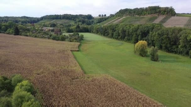 德国南部的葡萄藤或葡萄园地区在夏末收获季节的空中景观 伍腾堡 — 图库视频影像