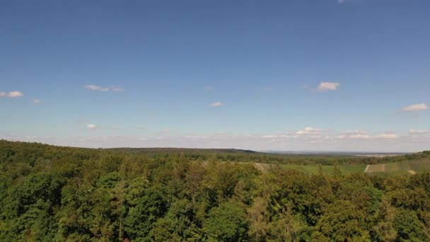 Vista Aérea Sobre Topos Uma Floresta Sul Alemanha Verão Baden — Vídeo de Stock