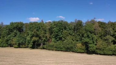 Baden-Wuerttemberg yaz aylarında Güney Almanya 'da bir ormanın tepesindeki hava manzarası