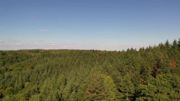 Letecký Pohled Přes Vrcholy Lesa Jižním Německu Létě Baden Wuerttemberg — Stock video