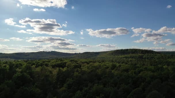 Letecký Pohled Přes Vrcholy Lesa Jižním Německu Létě Baden Wuerttemberg — Stock video