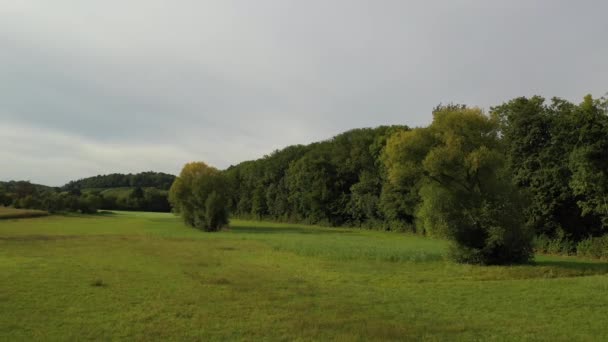 夏季德国南部一处森林顶部的空中景观 伍德堡 — 图库视频影像