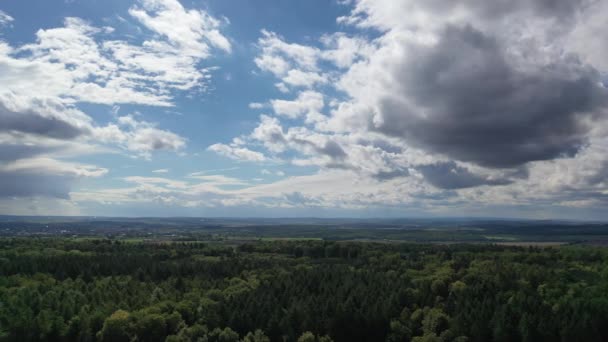 夏季德国南部一处森林顶部的空中景观 伍德堡 — 图库视频影像