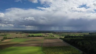 Baden-Wrttemberg, Almanya 'nın güneyinde yaz aylarında Heilbronn-Franken bölgesine bağlı doğal manzara.