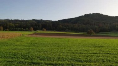 Orta Avrupa 'da yaz aylarında Almanya' nın güneyindeki ekilebilir arazi ve ormanların hava manzarası, Baden-Wrttemberg