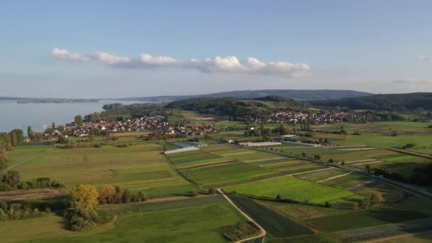 Yazın Sonlarında Untersee Deki Radolfzell Kasabası Yakınlarındaki Constance Gölü Nün — Stok video