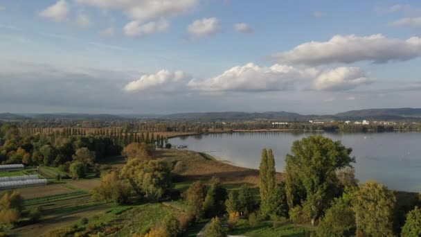 夏末在Untersee的Radolfzell镇附近的Constance西南湖地区与农田 村庄和湖泊的空中景观 Baden Wuerttemberg — 图库视频影像