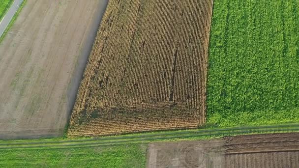 Aerial View Different Crop Fields Arable Land Southern Germany Central — Stock Video