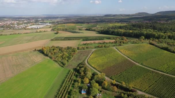 Baden Wurttemberg Zabergau Baden Wurttemberg Zabergau Bölgesindeki Üzüm Bağları Sonbaharda — Stok video