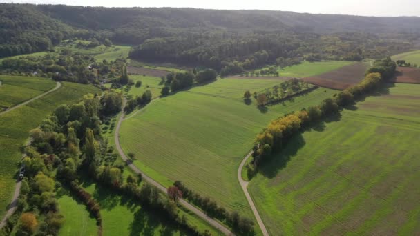 Fernsicht Auf Naturlandschaften Landwirtschaftliche Flächen Herbst Wiesen Und Wälder Westlichen — Stockvideo