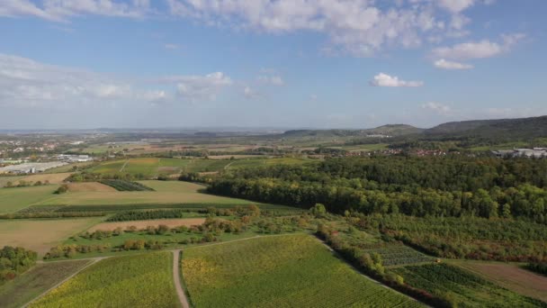 Vue Lointaine Des Vignobles Des Zones Agricoles Automne Des Prairies — Video