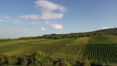 Baden-Wurttemberg, Zabergau, Baden-Wurttemberg, Zabergau bölgesindeki üzüm bağları, sonbaharda tarım alanları, çayırlar ve ormanların uzak manzarası