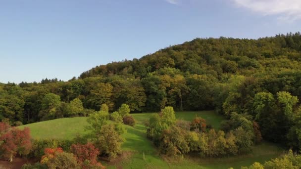 关于西部地区Zabergau Swabia Baden Wurttemberg的自然森林景观 秋季农业区和草地的远景规划 — 图库视频影像