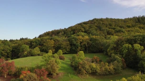 Fernsicht Auf Natürliche Waldlandschaften Landwirtschaftliche Flächen Herbst Und Wiesen Westlichen — Stockvideo