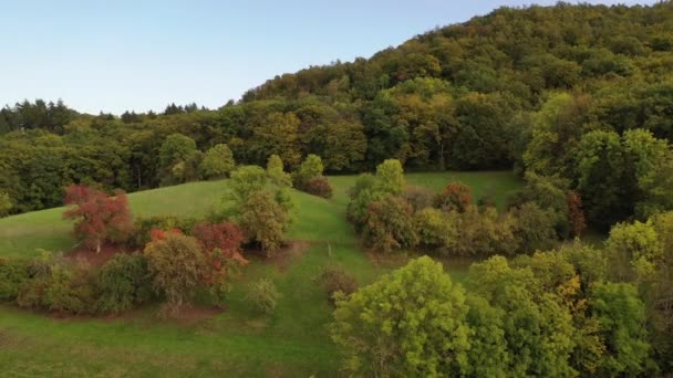 Fernsicht Auf Natürliche Waldlandschaften Landwirtschaftliche Flächen Herbst Und Wiesen Westlichen — Stockvideo