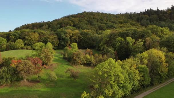 Fernsicht Auf Natürliche Waldlandschaften Landwirtschaftliche Flächen Herbst Und Wiesen Westlichen — Stockvideo