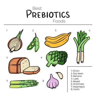 Prebiyotik ürünler, bu bakterilerin kaynakları, besin değeri yüksek gıdalar. Soya fasulyesinin düz vektör çizimi kuşkonmaz soğan muz sarımsaklı enginar