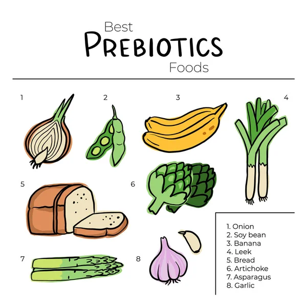 Prebiotiske Produkter Kilder Til Disse Bakteriene Næringsrik Mat Flate Vektorillustrasjoner – stockvektor