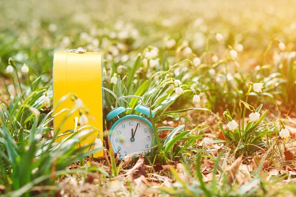 Relógio Alarme Clássico Com Sinos Fundo Natureza Lembrete Horário Verão — Fotografia de Stock