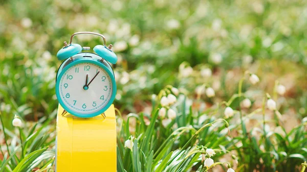 Tempo Início Primavera Relógio Alarme Clássico Com Sinos Fundo Natureza — Fotografia de Stock