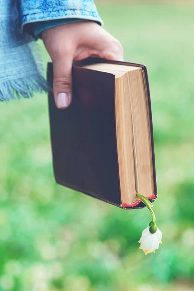 Könyv Női Kezekben Ideje Olvasni Szabad Hely Gúnyolódásodnak Könyvkoncepció Olvasása — Stock Fotó