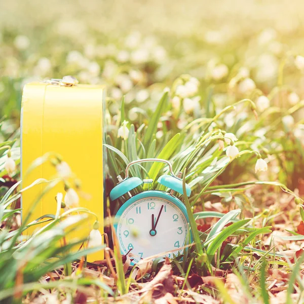 Zomertijd Herinnering Lente Tijd Verandering Achtergrond Eerste Witte Lente Sneeuwklokjes — Stockfoto