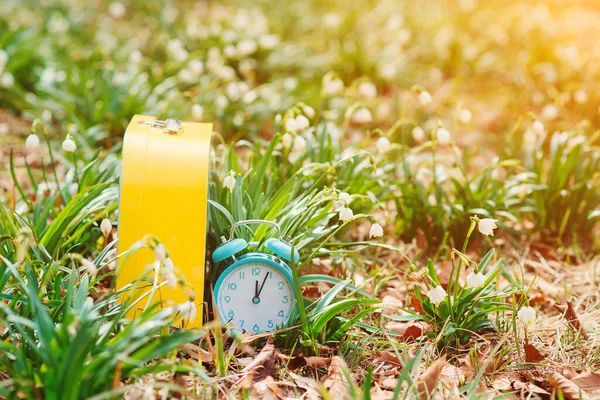 Vroeg Het Voorjaar Wekker Klok Lente Bloemen Achtergrond Zomertijd Herinnering — Stockfoto