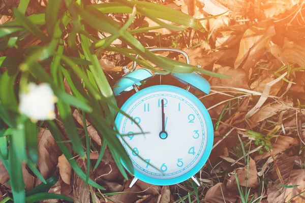 Relógio Alarme Clássico Fundo Natureza Vista Superior Lembrete Horário Verão — Fotografia de Stock