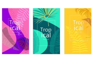 Tatil ve tatil şablonu için bitki örtüsü ve yaprağı olan tropikal bir arka plan.