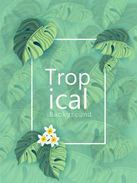 Tropical Background Flora Leaf Vacation Holiday Template Vector Illustration — Vetor de Stock