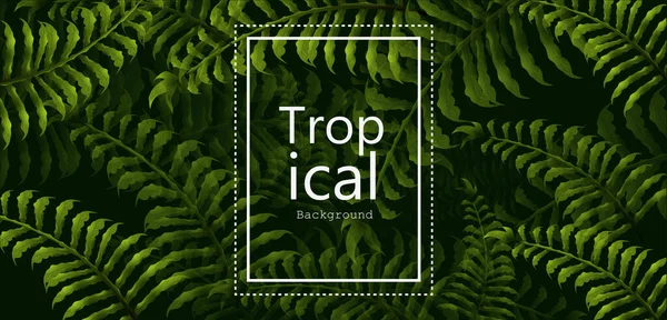 Fundo Tropical Com Flora Folha Para Férias Feriado Modelo Vector — Vetor de Stock