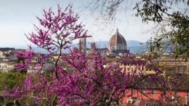Floransa 'daki Santa Maria del Fiore Katedrali bahar mevsiminde çiçek açan ağaçlarla Piazzale Michelangelo' dan görüldü. İtalya
