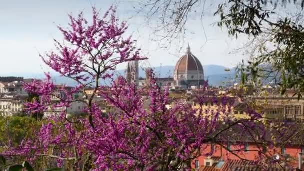 Katedrála Santa Maria Del Fiore Florencii Viděna Piazzale Michelangelo Během — Stock video