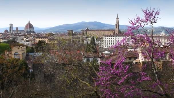 Santa Maria Del Fiore Katedrali Piazzale Michelangelo Dan Çiçekli Ağaçlarla — Stok video