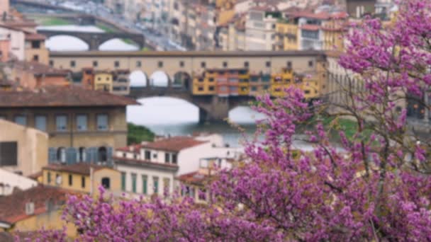 ピアッツァーレ ミケランジェロから見たフィレンツェのアルノ川の上にある有名なヴェッキオ橋は 春には木々が咲き誇ります イタリア — ストック動画