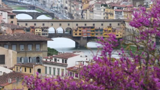 Famosa Ponte Vecchio Sobre Rio Arno Florença Vista Piazzale Michelangelo — Vídeo de Stock