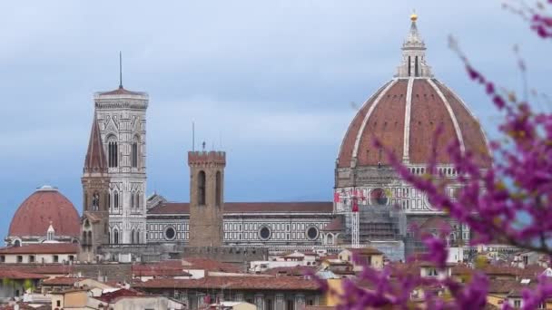 Katedrála Santa Maria Del Fiore Florencii Rozmazaným Kvetoucím Jidášem Popředí — Stock video