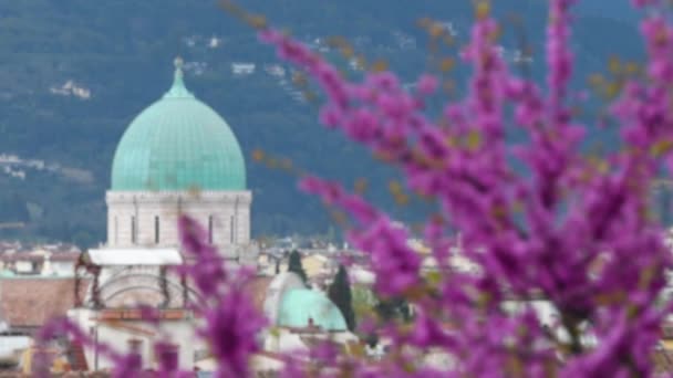 Купол Синагоги Центре Флоренции Цветущим Деревом Иуды Переднем Плане Италия — стоковое видео