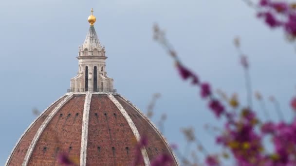 フィレンツェのサンタ マリア フィオーレ大聖堂では 前景に咲くユダの木がぼやけています 選択的集中 イタリア — ストック動画
