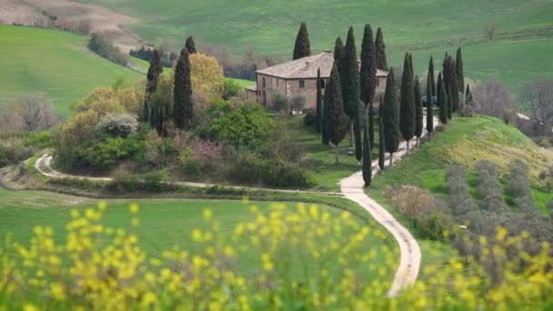 Beautiful View Rolling Hills Tuscany Spring Yellow Flowers Moving Wind — Stock Video